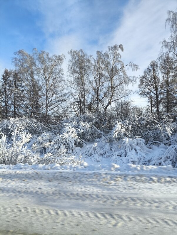 Придорожный пейзаж - Ирэн 