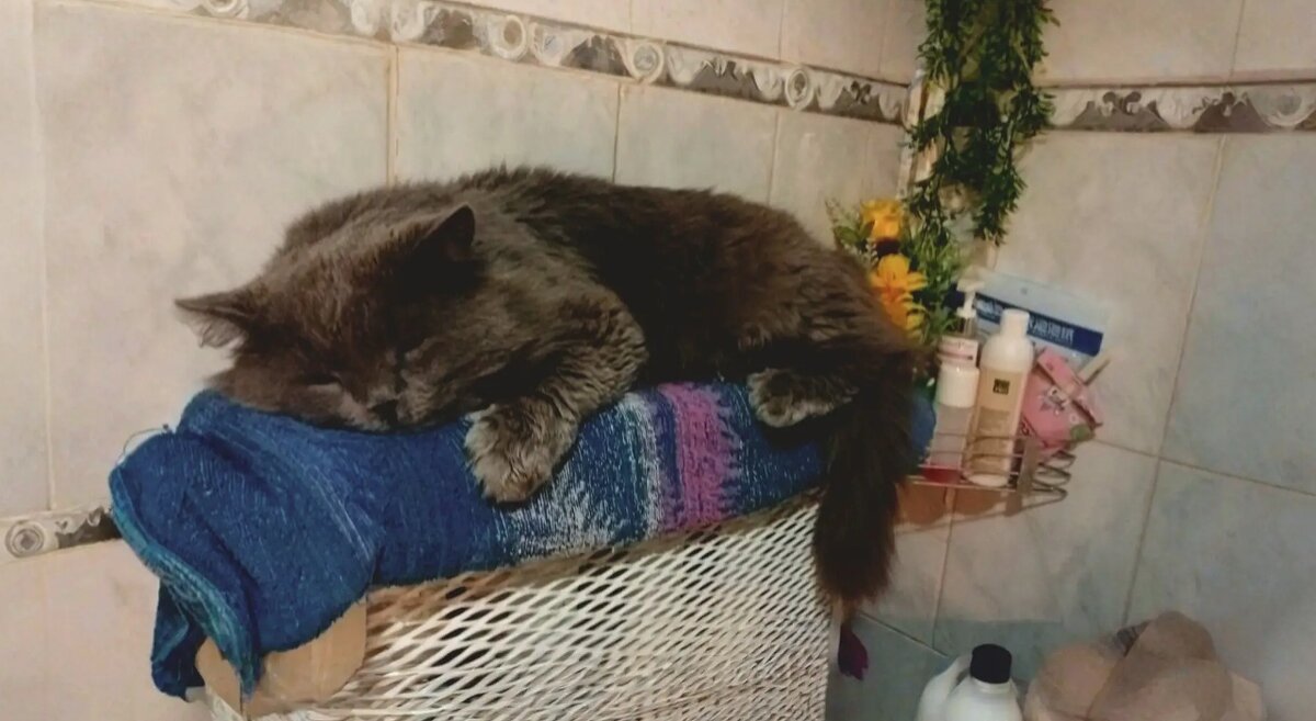 Кому на Руси жить хорошо... - Михаил Столяров