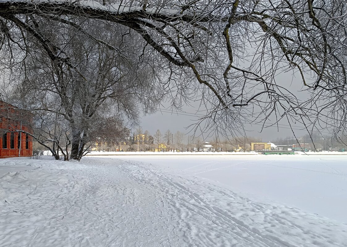 Небо в оттенках серого - Мария Васильева
