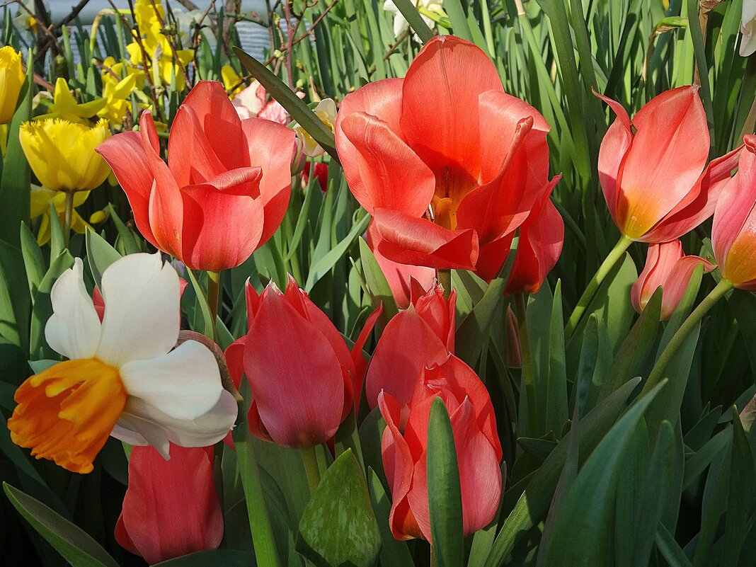 Весна всё ближе - Лидия Бусурина