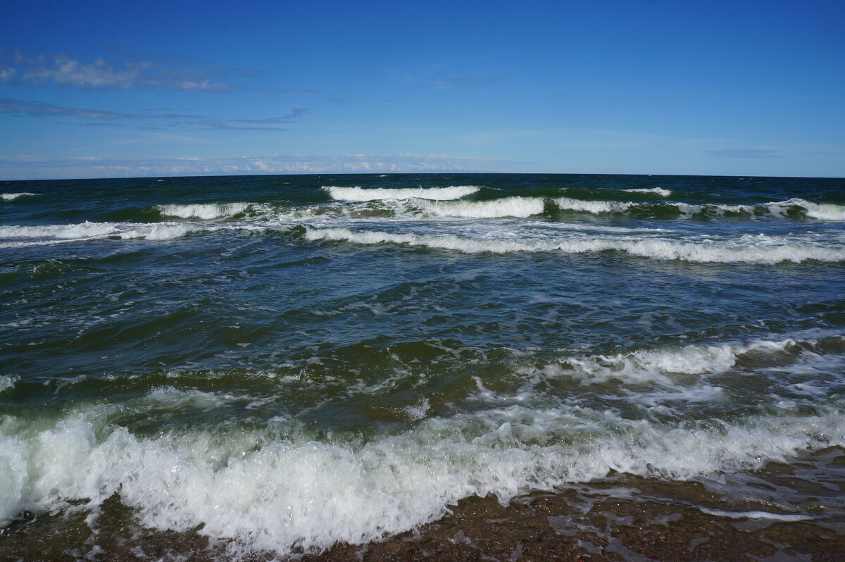 ~~ ~~ ~~ - Алёна Савина ~~ ~~ ~~ - Алёна Савина