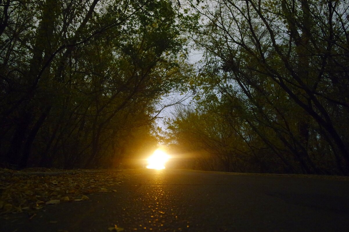 UFO - Aндрей Антонов