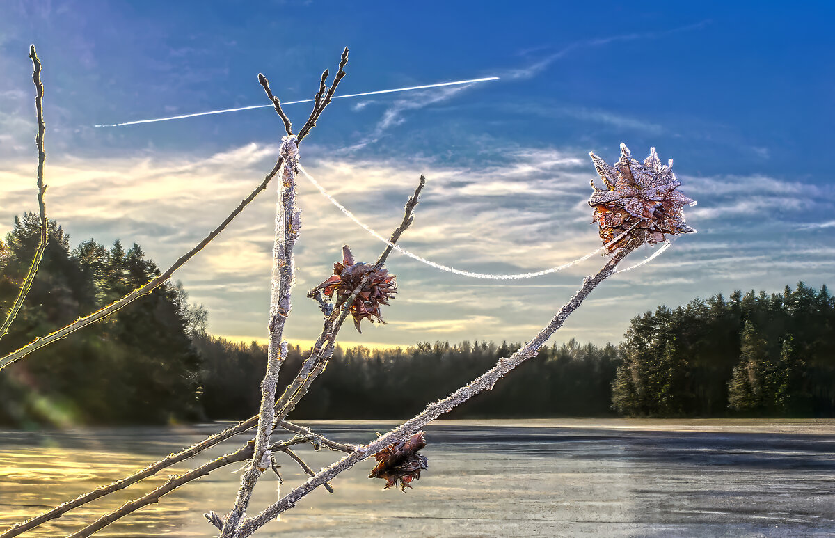 Зимнее утро - Григорий П