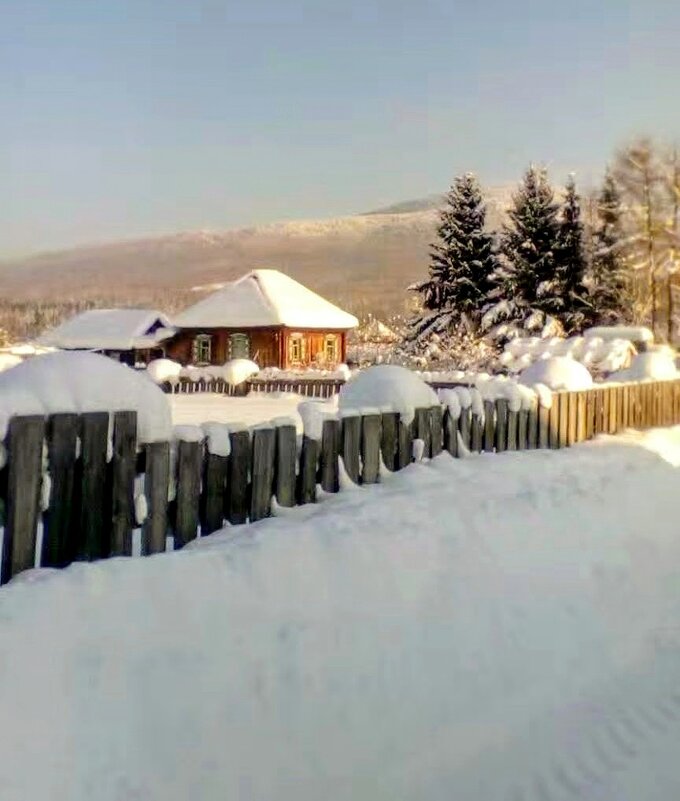 ЖУРАВЛЕВО - Tata Wolf