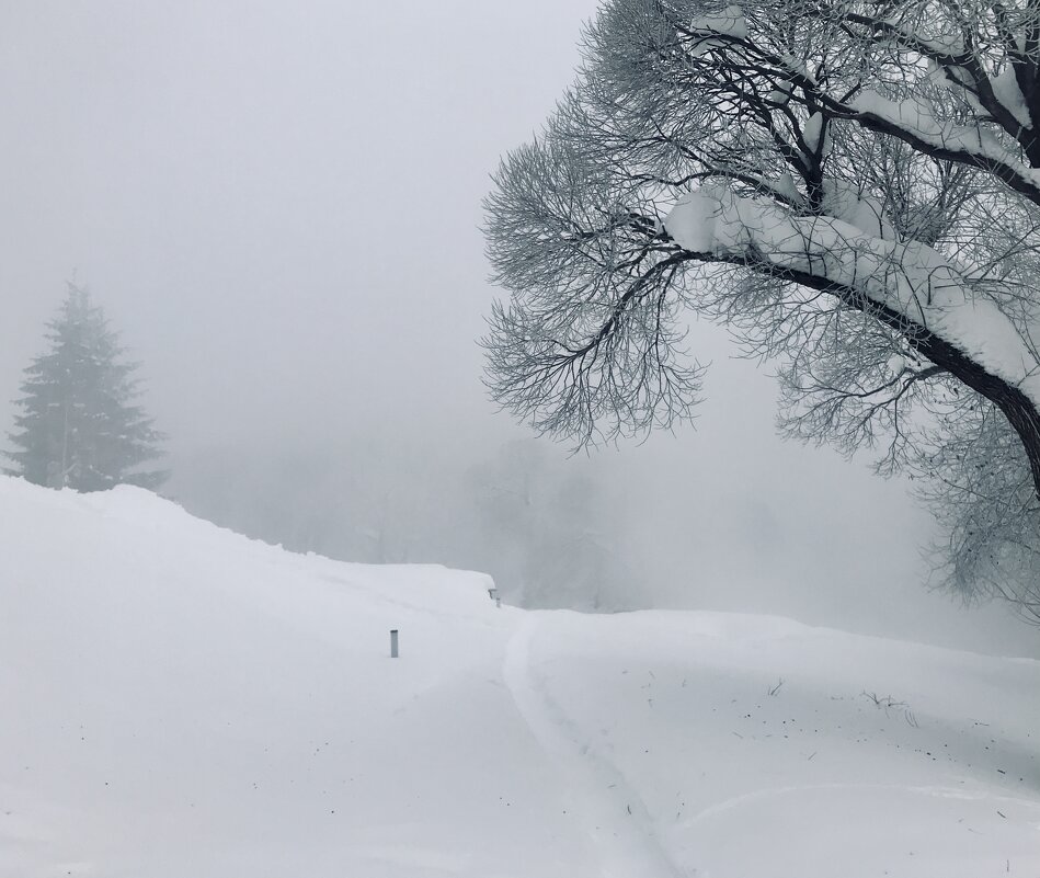 Утро туманное, утро седое.. - Татьяна Утро туманное, утро седое.. - Татьяна