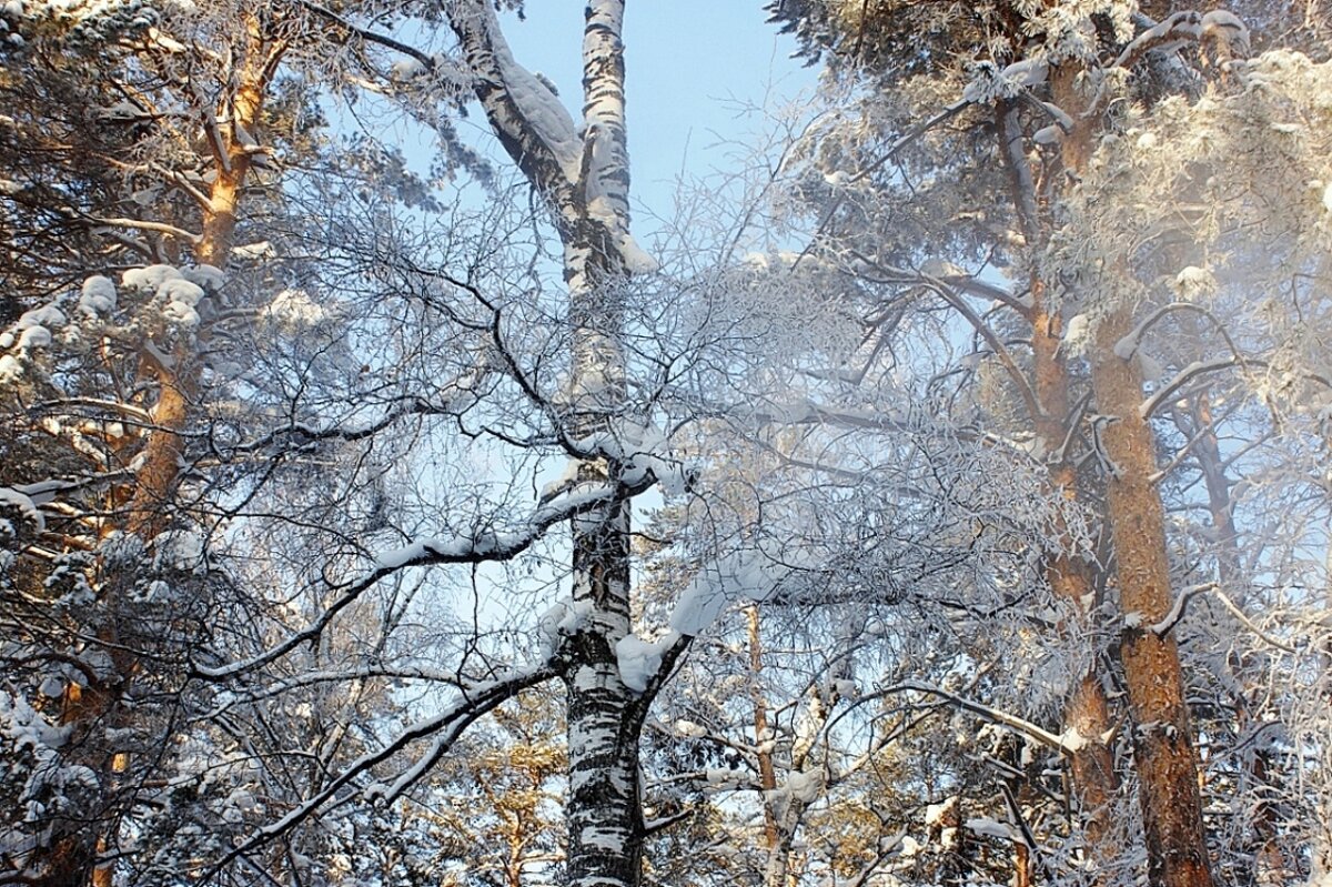 В городском парке - Галина Нестратова