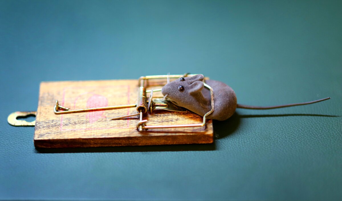 Мышь - Андрей Л. В.