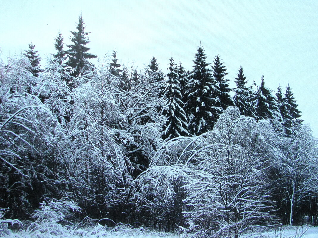 Всё засыпал снег - Людмила Смородинская Всё засыпал снег - Людмила Смородинская