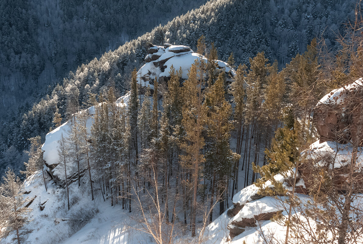 Зимний день - Марина Фомина.
