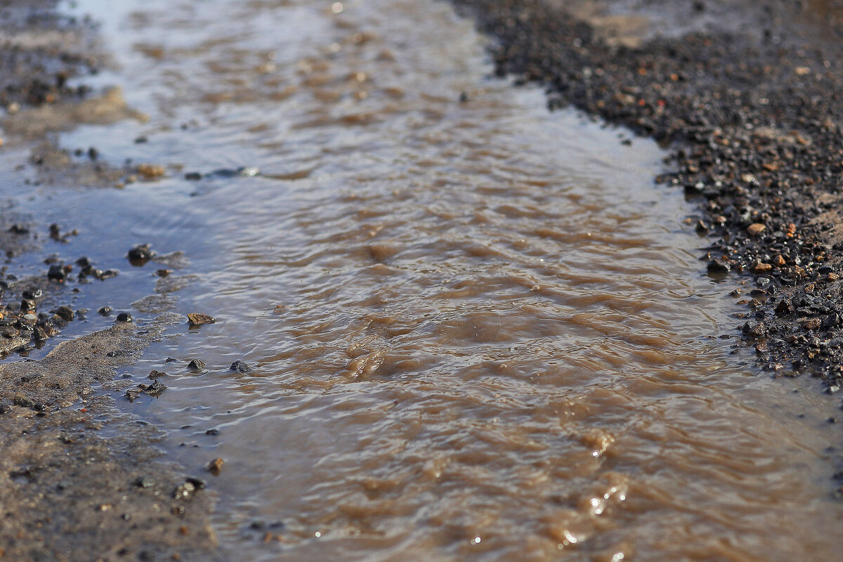 Веснаа идёт! - Юрий Гайворонскiий
