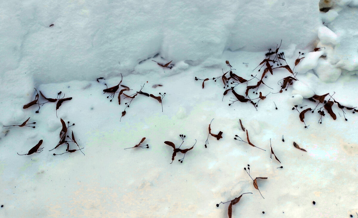 после боя - Валентина Береснева