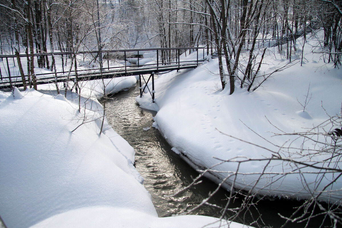 Река Егошиха - Евгений Шафер Река Егошиха - Евгений Шафер