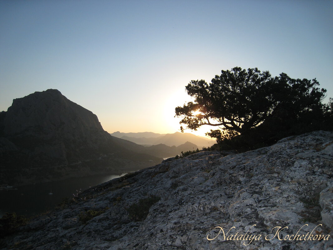 Природа Крыма - Amazing Cosmea Природа Крыма - Amazing Cosmea