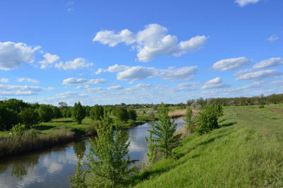 Местная река. - Виктор 