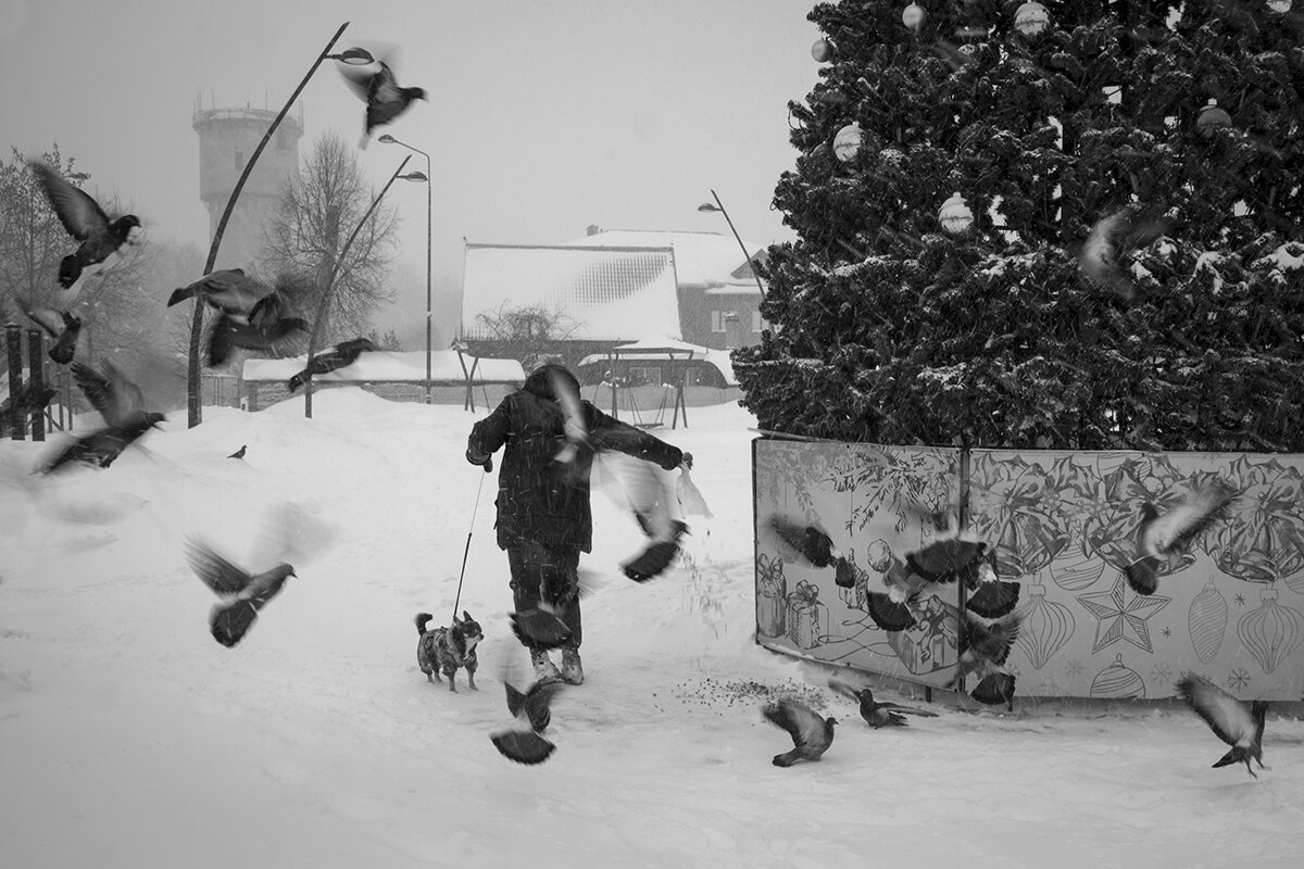 *** - Владимир Носов