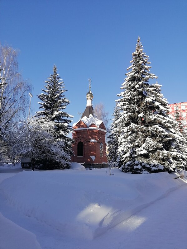 Зима - Зоя Мишина