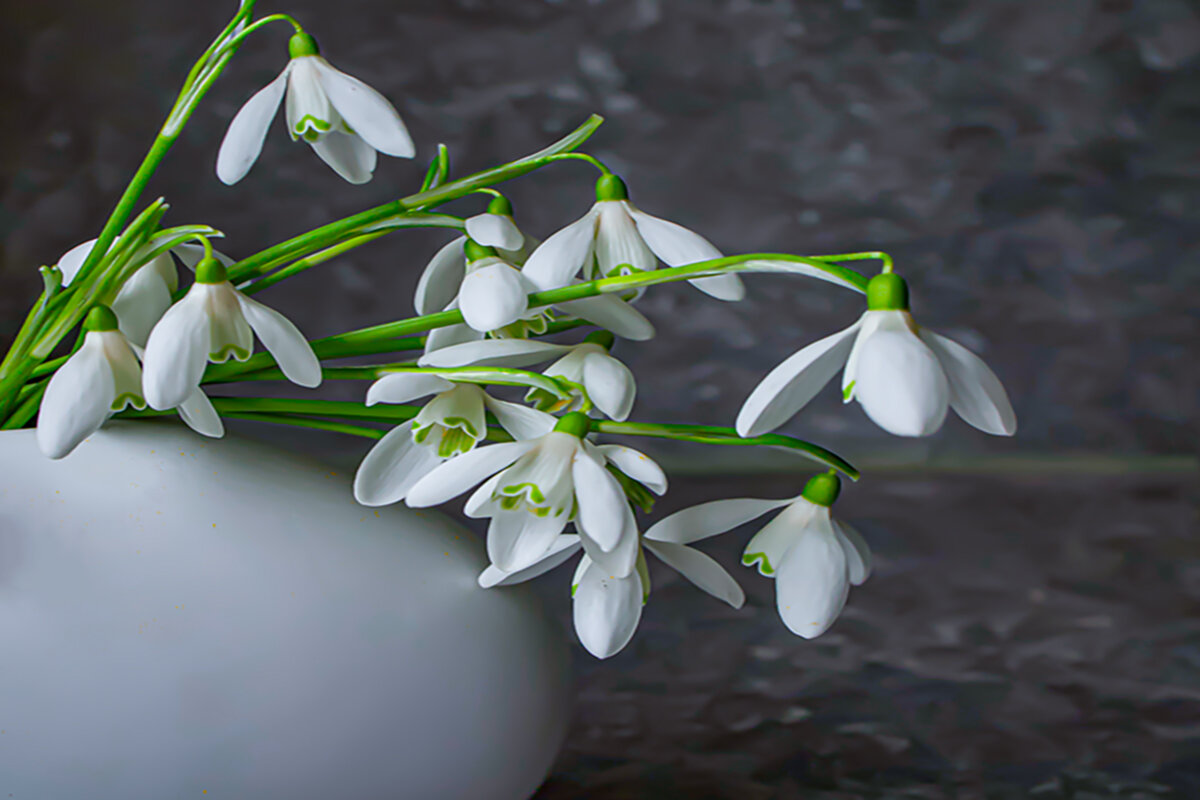 Весна  не за горами. - Lucy Schneider 