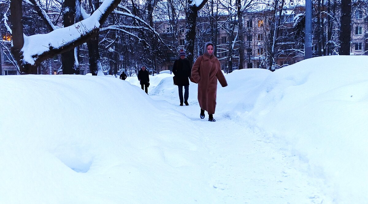 Февральские сугробы. - Василий Палий