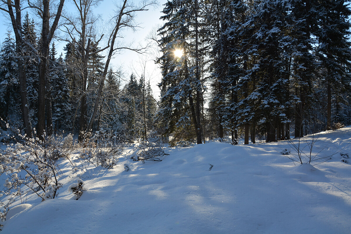 Зимнее солнце - Валерий Медведев Зимнее солнце - Валерий Медведев
