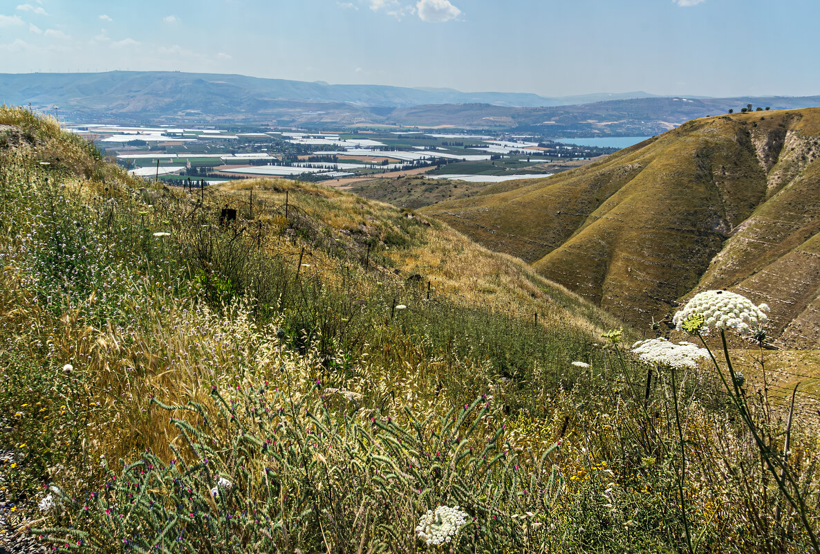 К юго-востоку от Кинерета - Eugene *