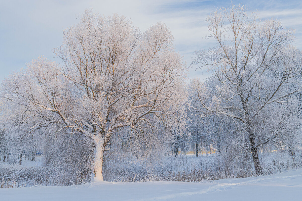 «Белая магия». - Екатерина Счасная