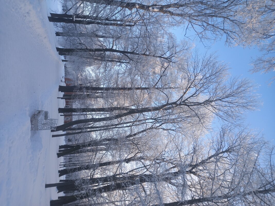 Зима - Сапсан 