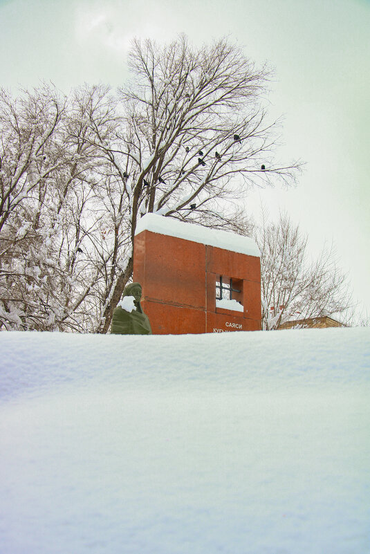 Қар астындағы үнсіз естелік - Алтынбек Картабай 
