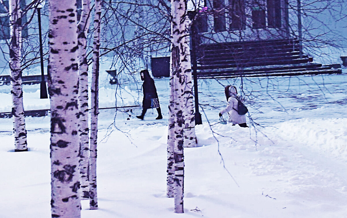 Февраль.Опасный спуск на бульвар!.. - Владимир 