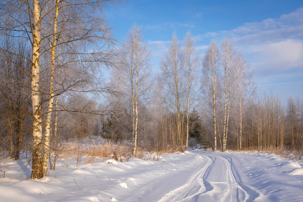 **** - Елизавета .