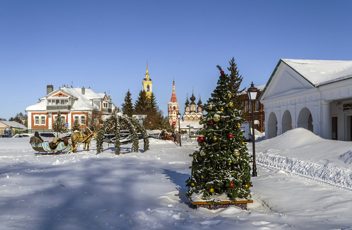 Смотровая площадка. Елочка еще нарядная - Сергей Цветков Смотровая площадка. Елочка еще нарядная - Сергей Цветков