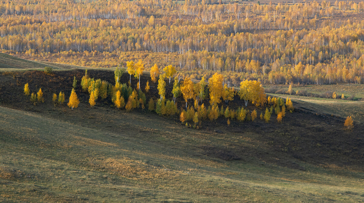 Уголок осени - Сергей Герасимов
