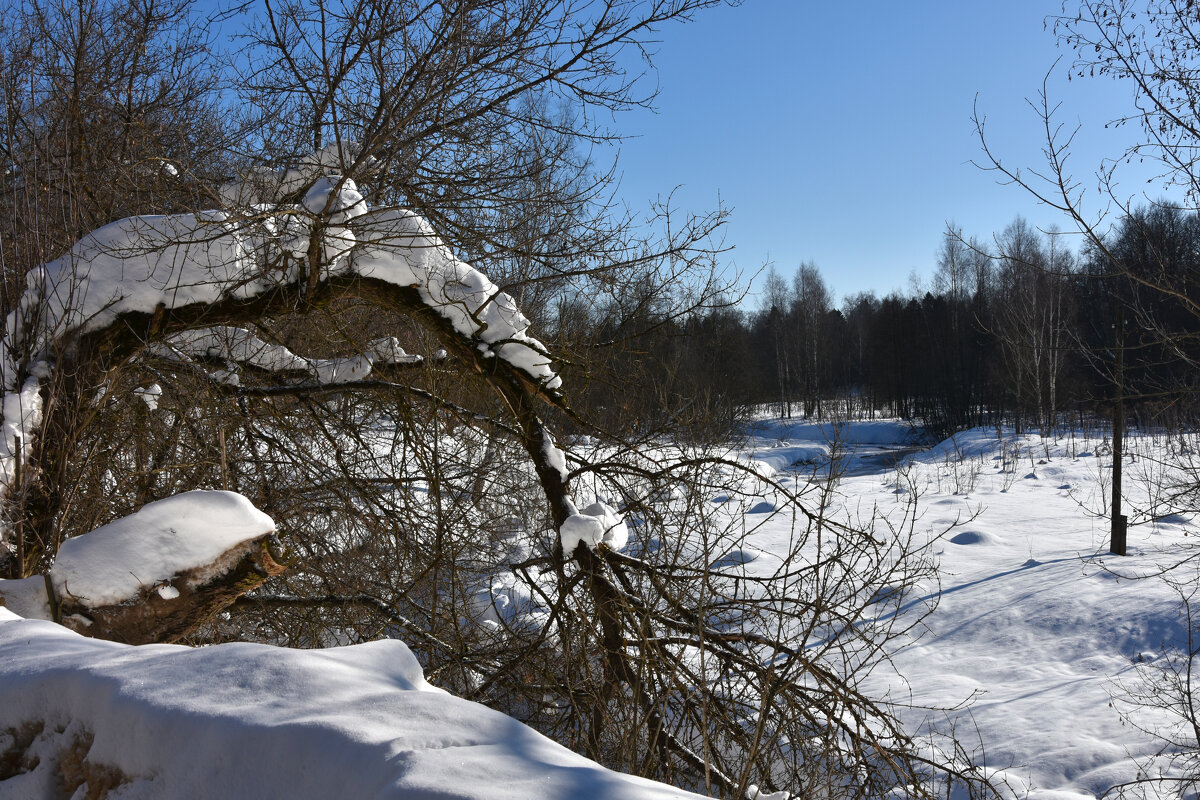 Московская область. Федоскино. - Наташа *****