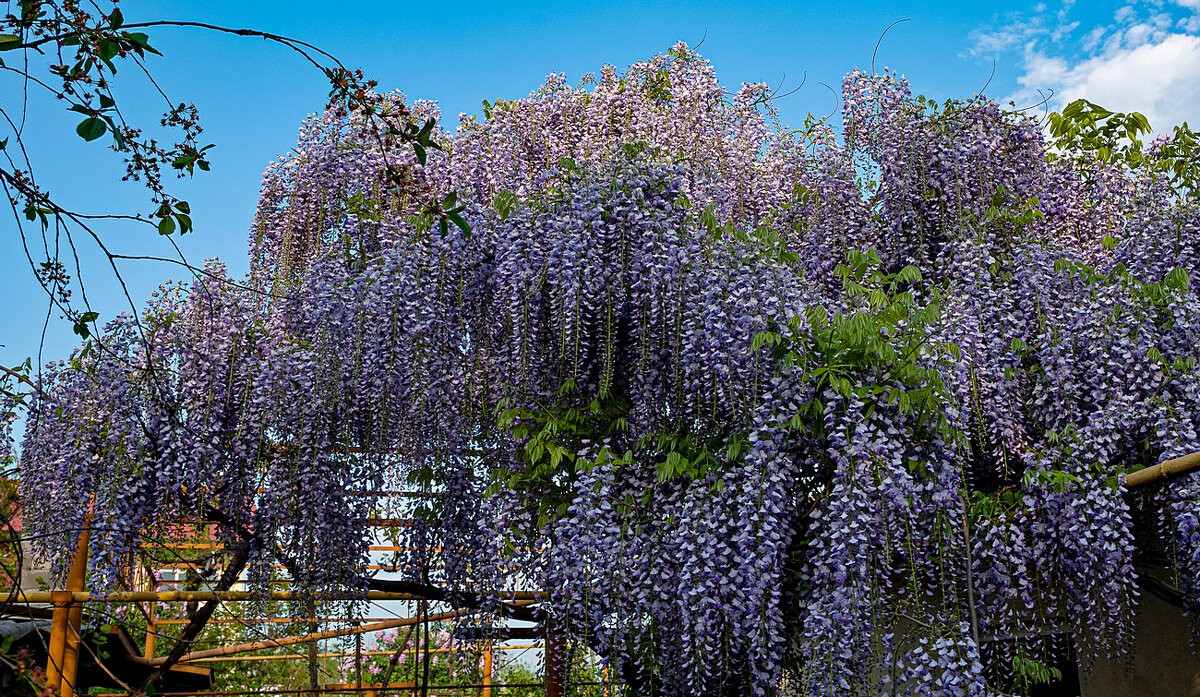 скоро весна! - Aleksandr . скоро весна! - Aleksandr .