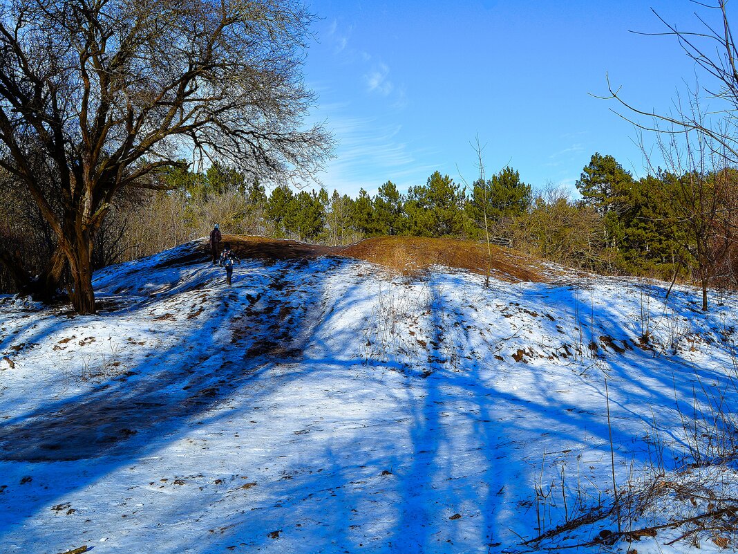 Ростов-на-Дону. Курган Тихая Сопка в феврале. - Пётр Чернега