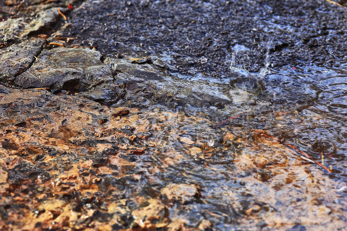 Каплет с крыши - Юрий Гайворонскiий