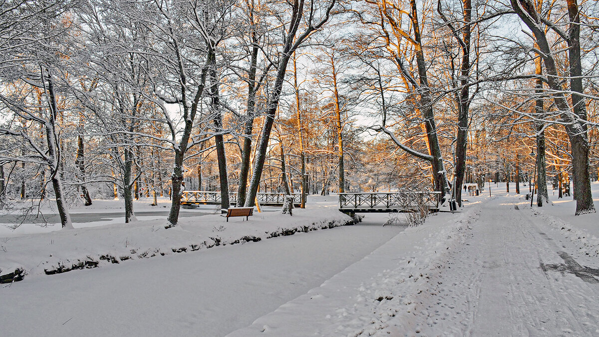 Зимний уют - Alexandеr P