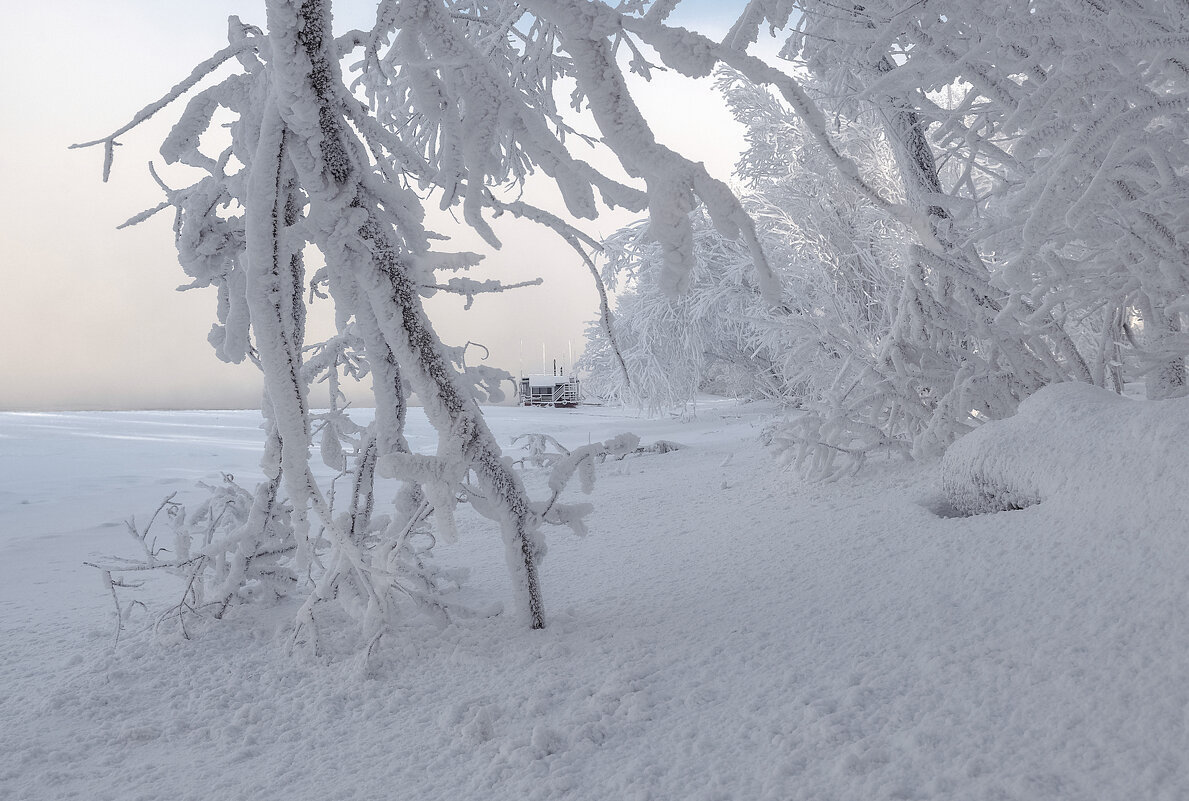 Природная рамочка - Марина Фомина.