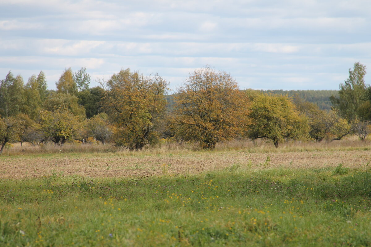 ПЕЙЗАЖ СЕНТЯБРЯ... - Валентина 