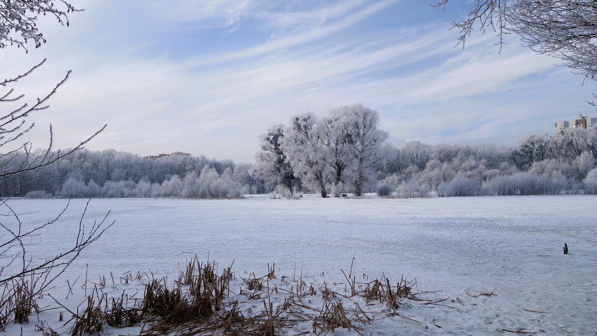 Озеро Лесное, Калининград - Рита Симонова