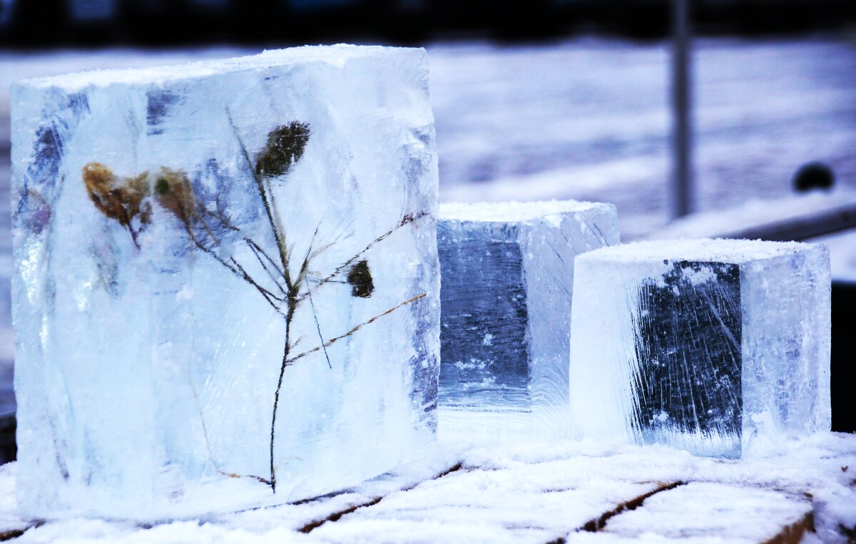 затерявшийся во льдах.... - Сергей 