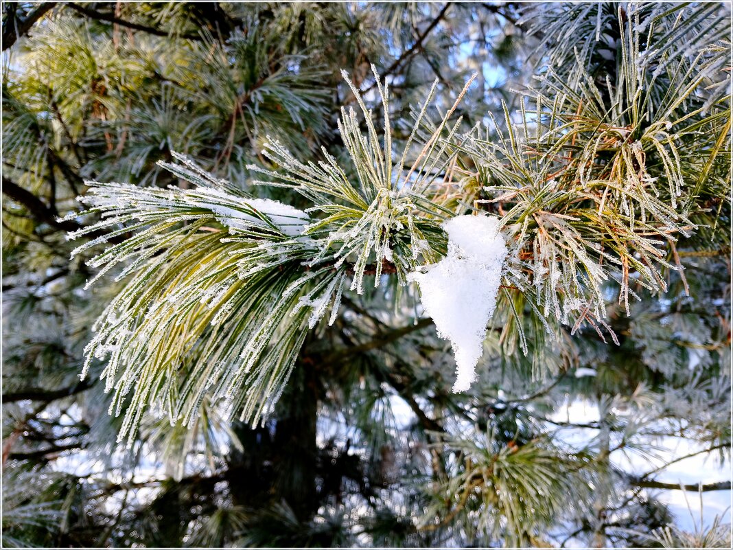 Февральская зарисовка - Лия ☼ Февральская зарисовка - Лия ☼