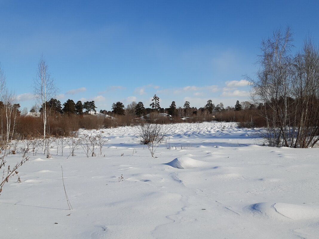 Ясным днём - Галина Минчук