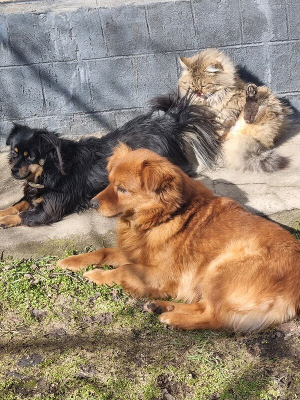 Февральское солнышко - Наталья 