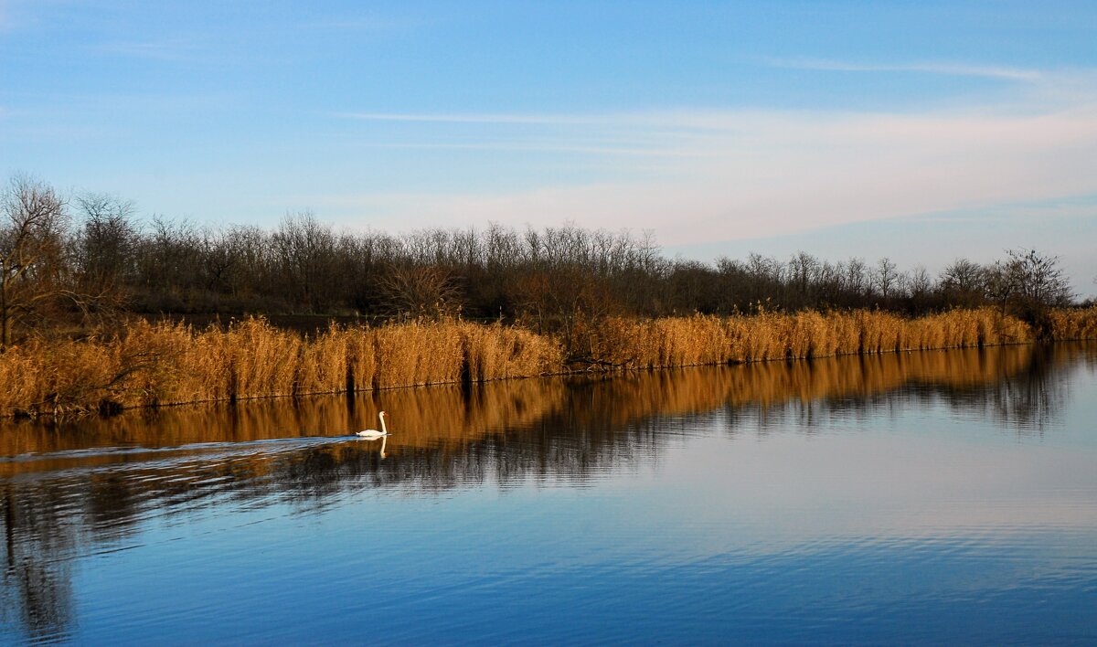 Тишина. - Владимир 