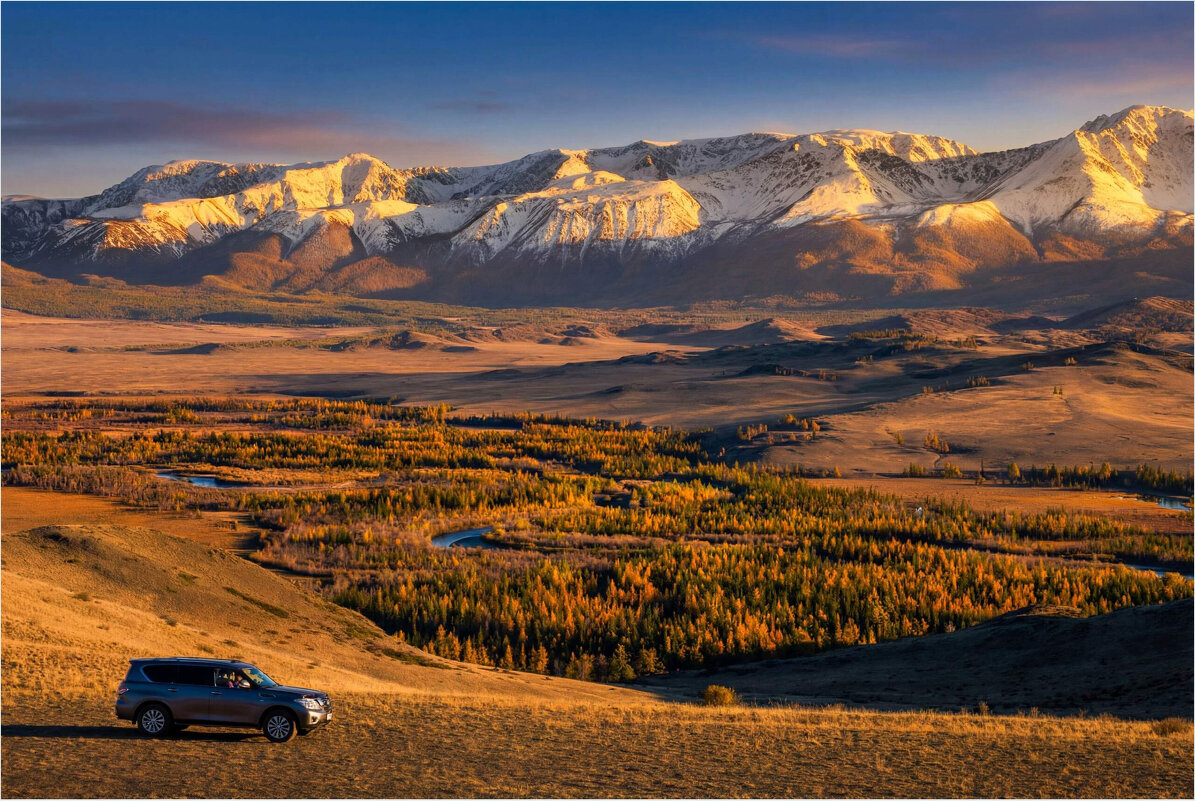 **** - Алексей Мезенцев