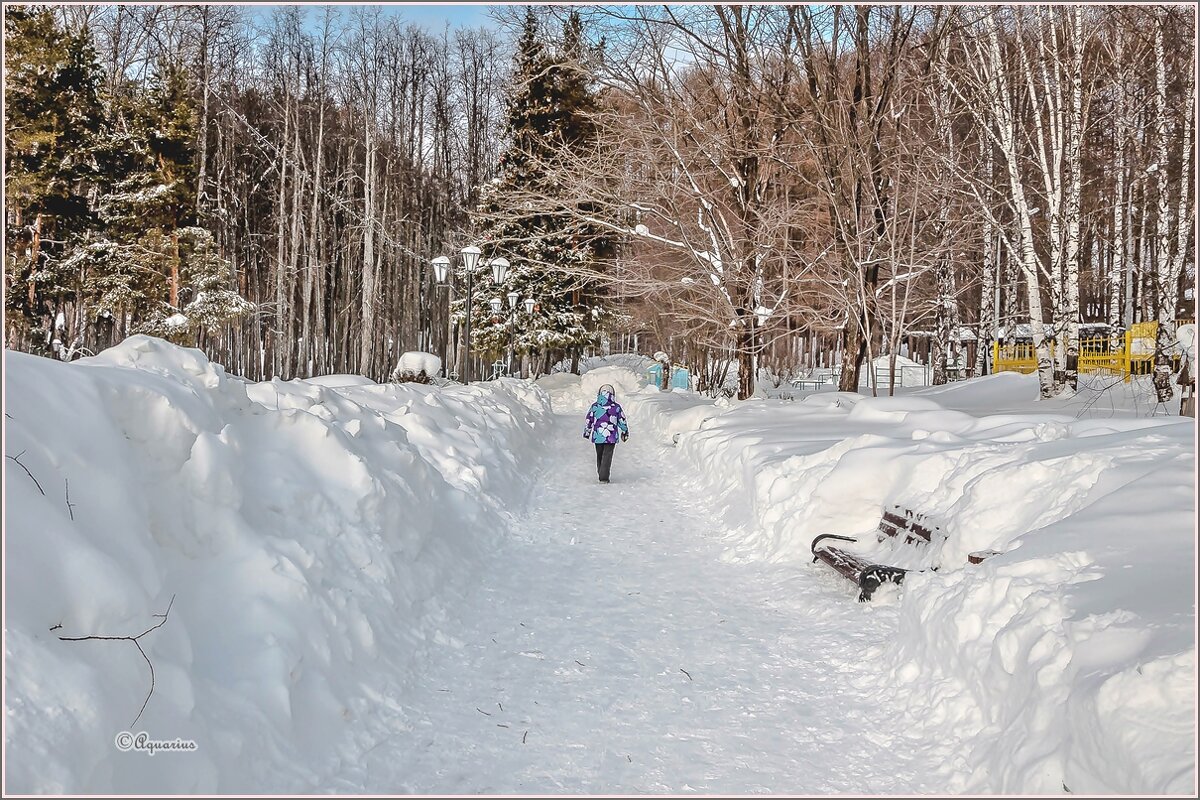 Про снежный февраль ... - Aquarius - Сергей