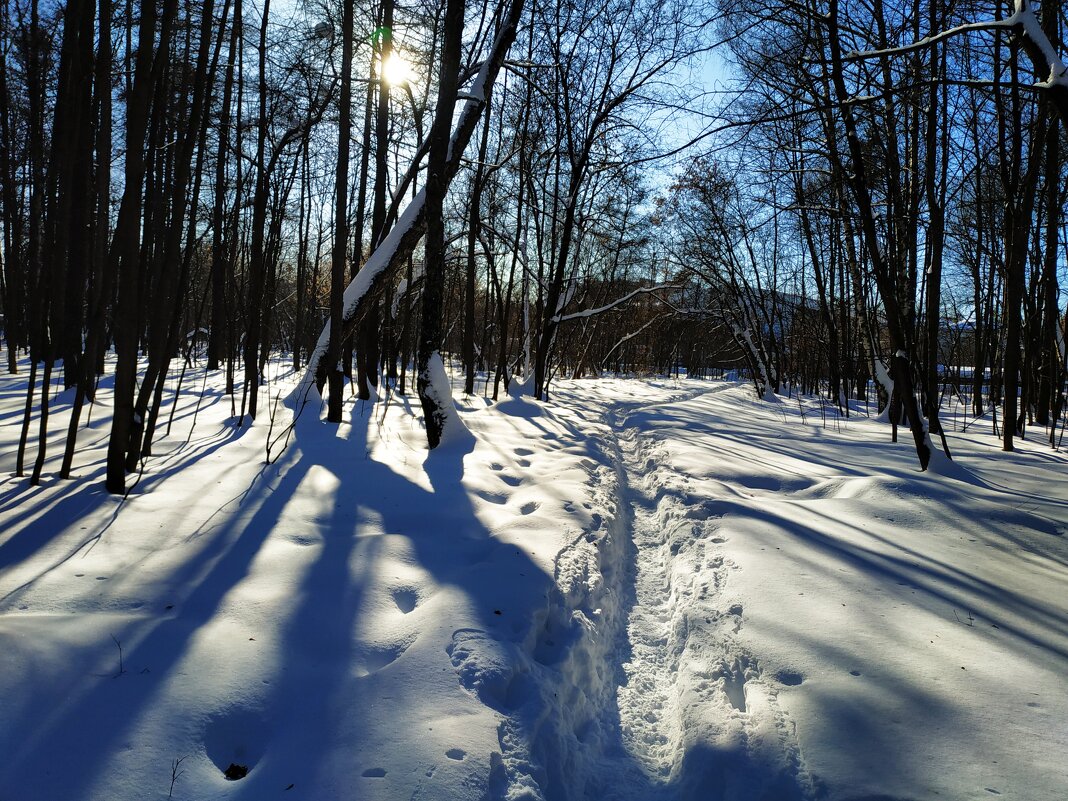 С Масленицей, друзья! - Андрей Лукьянов