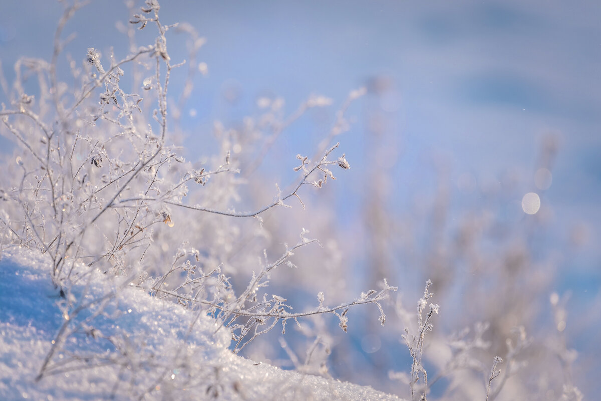 **** - Елизавета .