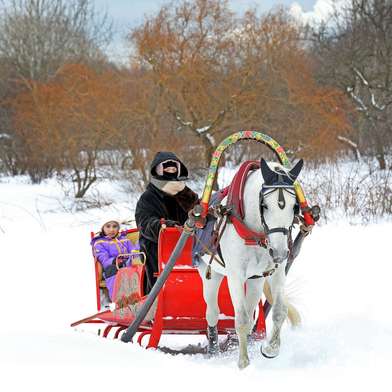 Масленица 21 февраля в Коломенском - Михаил Бибичков Масленица 21 февраля в Коломенском - Михаил Бибичков