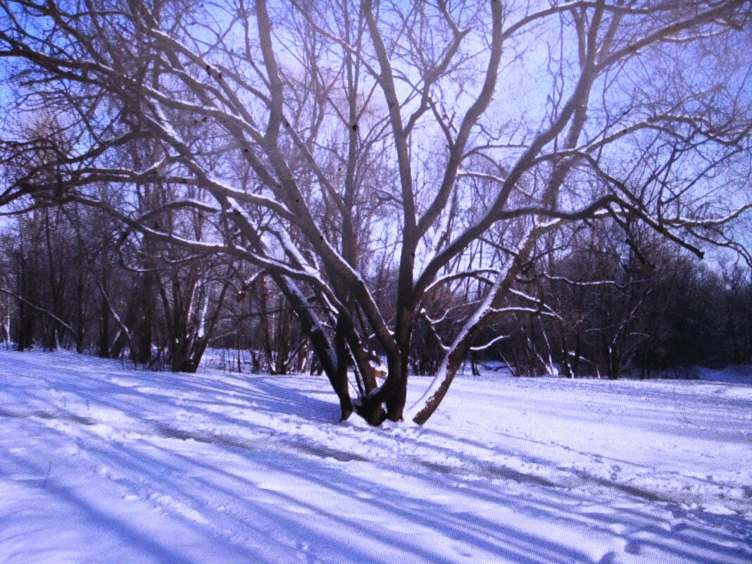 По дорогам февраля - Людмила Смородинская По дорогам февраля - Людмила Смородинская